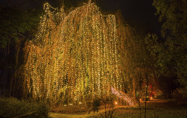 Christmas Garden Berlin